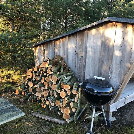 Egebjerggaard Bed & Breakfast Sig Екстер'єр фото